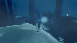Penguin Colony