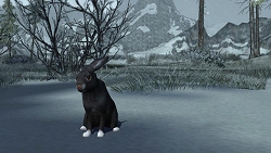 画像ギャラリー No.004のサムネイル画像 / 中つ国に釣りのシーズン到来　「LotRO」，大型アップデート第十三巻“最後の王の運命”が本日導入