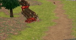画像ギャラリー No.006のサムネイル画像 / 「マビノギ」，ペットハンドラーアップデートが7月22日に実施。ペットの獲得や強化に特化した新才能が登場