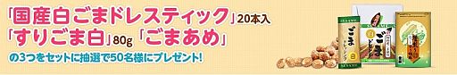 画像ギャラリー No.002のサムネイル画像 / 「ハッピーベジフル」，熊本県のうまかもん第5弾は釜屋「こだわりの白ゴマ」