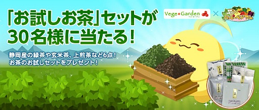 画像ギャラリー No.001のサムネイル画像 / 「ハッピーベジフル」静岡産のお茶セットが抽選で30名に当たるキャンペーン