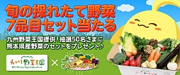 画像ギャラリー No.001のサムネイル画像 / 「ハッピーベジフル」，熊本県産野菜が50名に当たるキャンペーンを開始