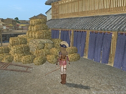 画像ギャラリー No.051のサムネイル画像 / コーエー,「大航海時代 Online 〜El Oriente〜」の「プレス向け先行試遊会」を実施