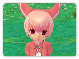 画像ギャラリー No.002のサムネイル画像 / 「パンヤ」，「ロロの日」記念日キャンペーンがスタート