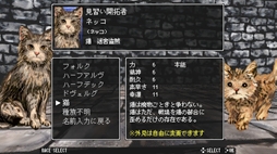 画像ギャラリー No.009のサムネイル画像 / 古典的な雰囲気だが，手軽に遊べる現代的なダンジョンクロウルRPG「ダンジョントレダーズ」，トレイラーを公開