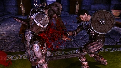 画像ギャラリー No.008のサムネイル画像 / ［Gamescom］自由度が高いとはこういうことだ！　EA，「Dragon Age: Origins」のゲーム世界を説明するセッションを開催