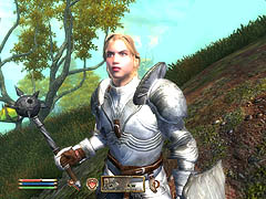 画像ギャラリー No.023のサムネイル画像 / 「Oblivion」に「Fallout 3」，聞きたいことが山ほどあるBethesdaにインタビュー