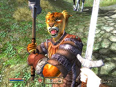 画像ギャラリー No.026のサムネイル画像 / 「Oblivion」に「Fallout 3」，聞きたいことが山ほどあるBethesdaにインタビュー