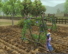 画像ギャラリー No.004のサムネイル画像 / 「三國志 Online」,あの“桃園の誓い”がモチーフのイベント開催