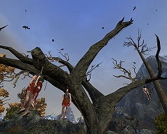 画像ギャラリー No.018のサムネイル画像 / 「Age of Conan」プレイレポートその4：MMORPGジャンルにおけるAoCの特徴と立ち位置。そして今後の課題について