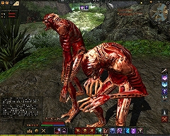 画像ギャラリー No.024のサムネイル画像 / 「Age of Conan」プレイレポートその4：MMORPGジャンルにおけるAoCの特徴と立ち位置。そして今後の課題について