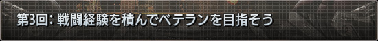 第3回：戦闘をしまくってベテランを目指そう
