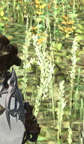 画像ギャラリー No.014のサムネイル画像 / 「Dynamic Super Resolution」を試す。「ディスプレイ解像度を超えた精細感をゲームにもたらす」という新機能は使えるのか