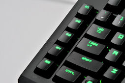 画像ギャラリー No.004のサムネイル画像 / 「Razer BlackWidow Ultimate 2013」を試す。青軸採用のゲーマー向けキーボードは，2013年モデルで何が変わったか