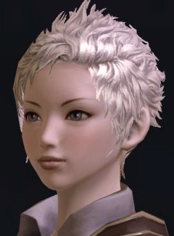 画像ギャラリー No.026のサムネイル画像 / 「The Tower of Aion」先行体験プレイレポート：キャラクターエディット編