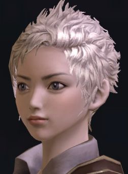 画像ギャラリー No.028のサムネイル画像 / 「The Tower of Aion」先行体験プレイレポート：キャラクターエディット編