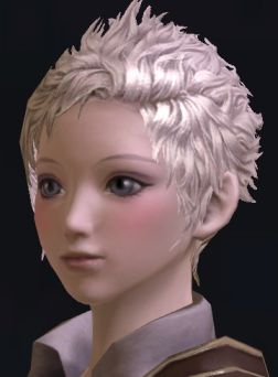 画像ギャラリー No.034のサムネイル画像 / 「The Tower of Aion」先行体験プレイレポート：キャラクターエディット編