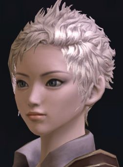 画像ギャラリー No.038のサムネイル画像 / 「The Tower of Aion」先行体験プレイレポート：キャラクターエディット編