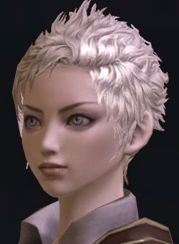 画像ギャラリー No.039のサムネイル画像 / 「The Tower of Aion」先行体験プレイレポート：キャラクターエディット編