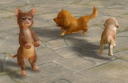 画像ギャラリー No.006のサムネイル画像 / “龍界”を舞台にPvPvEは新たな局面へ。「The Tower of AION」の大型アップデート“エピソード2.0 新世界”の見どころを紹介
