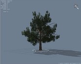 画像ギャラリー No.121のサムネイル画像 / 完全図解，無償配布のUnrealEngine 3開発キットで3Dゲームを作ってみよう