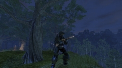 画像ギャラリー No.002のサムネイル画像 / X360「Fable II」，初回限定版は「Halo」ファンも注目？　ボーナスゲームコンテンツの詳細が明らかに