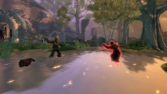 画像ギャラリー No.004のサムネイル画像 / X360「Fable II」，初回限定版は「Halo」ファンも注目？　ボーナスゲームコンテンツの詳細が明らかに