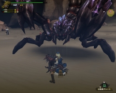 画像ギャラリー No.014のサムネイル画像 / 「MHF」シーズン3.0で登場した新モンスター“アクラ・ヴァシム”のプレイレポートをムービー付きで掲載