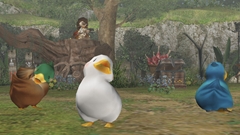 画像ギャラリー No.020のサムネイル画像 / 「MHF」の2012年にかける意気込みを表すため，獣竜種“アビオルグ”と甲殻種“タイクンザムザ”を実装した，「フォワード.3」直前インタビューを掲載