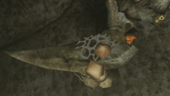 画像ギャラリー No.033のサムネイル画像 / 「MHF」の2012年にかける意気込みを表すため，獣竜種“アビオルグ”と甲殻種“タイクンザムザ”を実装した，「フォワード.3」直前インタビューを掲載