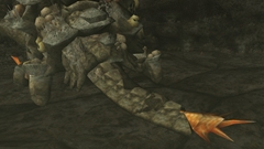 画像ギャラリー No.034のサムネイル画像 / 「MHF」の2012年にかける意気込みを表すため，獣竜種“アビオルグ”と甲殻種“タイクンザムザ”を実装した，「フォワード.3」直前インタビューを掲載