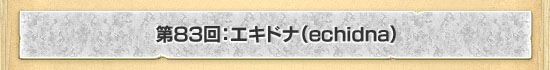 第83回：エキドナ（echidna）