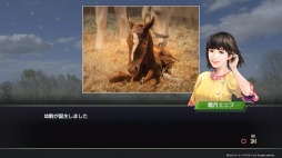 画像ギャラリー No.005のサムネイル画像 / 男色ディーノのゲイムヒヒョー ゼロ：第527回「攻略！『Winning Post 9』」