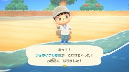 画像ギャラリー No.004のサムネイル画像 / 男色ディーノのゲイムヒヒョー ゼロ：第575回「『あつまれ どうぶつの森』には屈しない」