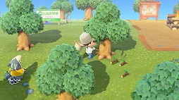 画像ギャラリー No.006のサムネイル画像 / 男色ディーノのゲイムヒヒョー ゼロ：第575回「『あつまれ どうぶつの森』には屈しない」