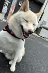 画像ギャラリー No.004のサムネイル画像 / 男色ディーノのゲイムヒヒョー ゼロ：第789回「人間，変わっていいんだ」