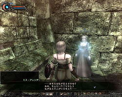 画像ギャラリー No.013のサムネイル画像 / テスターへの挑戦状か？　「Wizardry Online」バランステストで追加される「エルフ（女）」「新ダンジョン」などのコンテンツを紹介