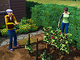 画像ギャラリー No.017のサムネイル画像 / 新しいシムズはこうなってしまった。EA，「The Sims 3」の詳細を発表