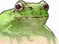 グラスホッパー・マニファクチュア，iPhone用ゲーム「FROG MINUTES」を開発中。本作の収益は被災者への義援金として寄付