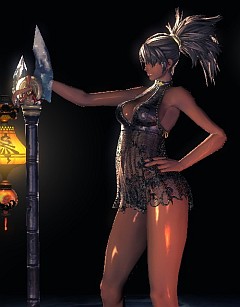 画像ギャラリー No.004のサムネイル画像 / 日本サービスの準備も着々と進行中！「Blade＆Soul」CBTで確認できたゲームの見どころを，大量のSSと共に紹介