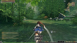 画像ギャラリー No.035のサムネイル画像 / 日本サービスの準備も着々と進行中！「Blade＆Soul」CBTで確認できたゲームの見どころを，大量のSSと共に紹介