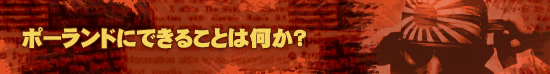 ポーランドにできることは何か？