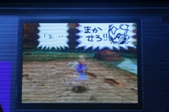 画像ギャラリー No.015のサムネイル画像 / ［TGS 2008＃079］ビジュアルチャットが楽しい「ファンタシースターZERO」プレイレポートを掲載。「イルミナスの野望」追加アップデートの制作決定も発表