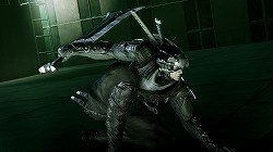 画像ギャラリー No.003のサムネイル画像 / ［TGS 2008＃038］メインテーマを小柳ゆきさんが熱唱！　注目のニンジャアクション「NINJA BLADE」クリエイターセッション