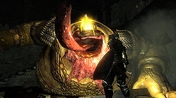 画像ギャラリー No.003のサムネイル画像 / フロム・ソフトウェアとSCEがPS3ユーザーに贈る本格アクションRPG。「Demon's Souls」（デモンズソウル）2月5日発売
