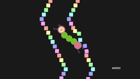 画像ギャラリー No.016のサムネイル画像 / 「のびのびBOY」の高橋慶太氏と「PixelJunk Eden」のBaiyon氏による対談を掲載