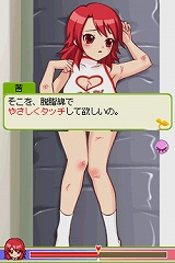 はち恋