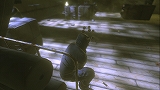 画像ギャラリー No.004のサムネイル画像 / X360/PS3「Wanted：WoF」，公式サイトで特殊能力の詳細が公開に
