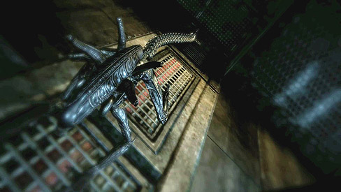 画像ギャラリー No.003のサムネイル画像 / マリーン仲間がプレデターに変身！　「Aliens vs. Predator」のマルチプレイモードについて新情報を紹介