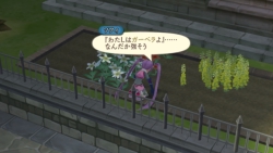 画像ギャラリー No.015のサムネイル画像 / 「テイルズ オブ グレイセス」，水着に続いて“正装の強さを知る”RPGに？　新しい着替え付き称号とミニゲーム“種集め”を紹介